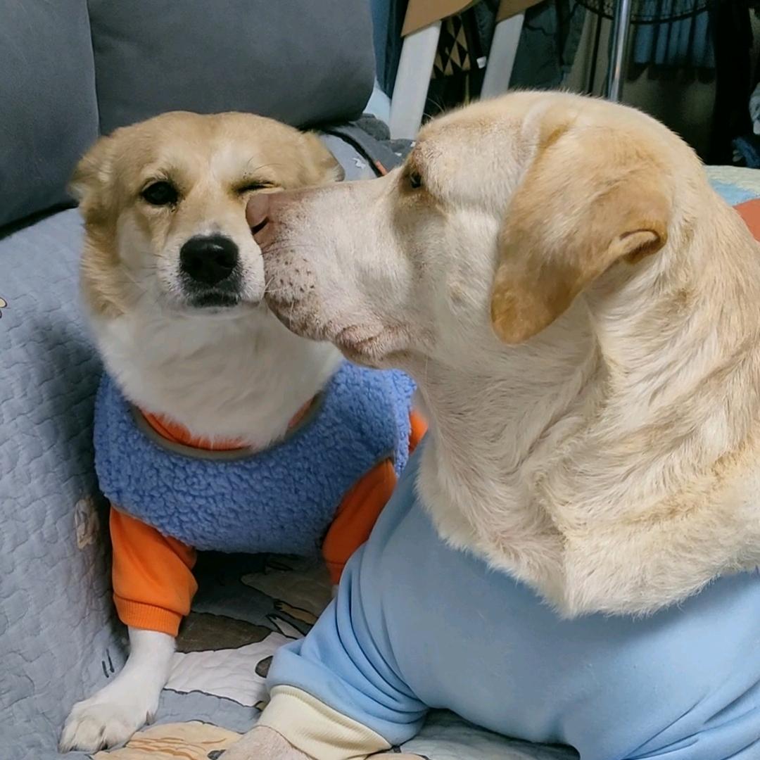 孙小宝🐕