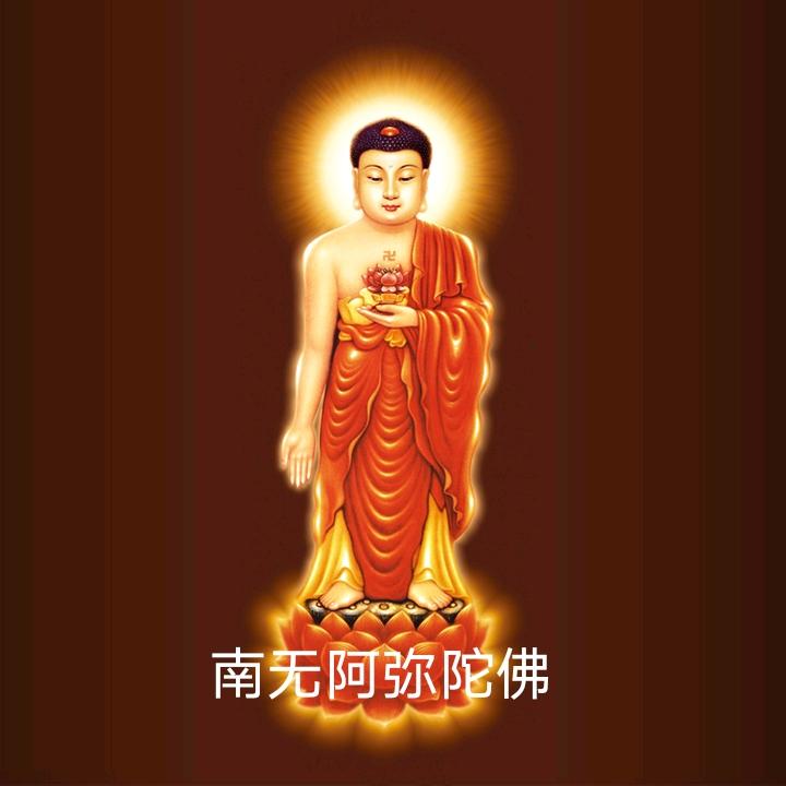南无阿弥陀佛(净信)