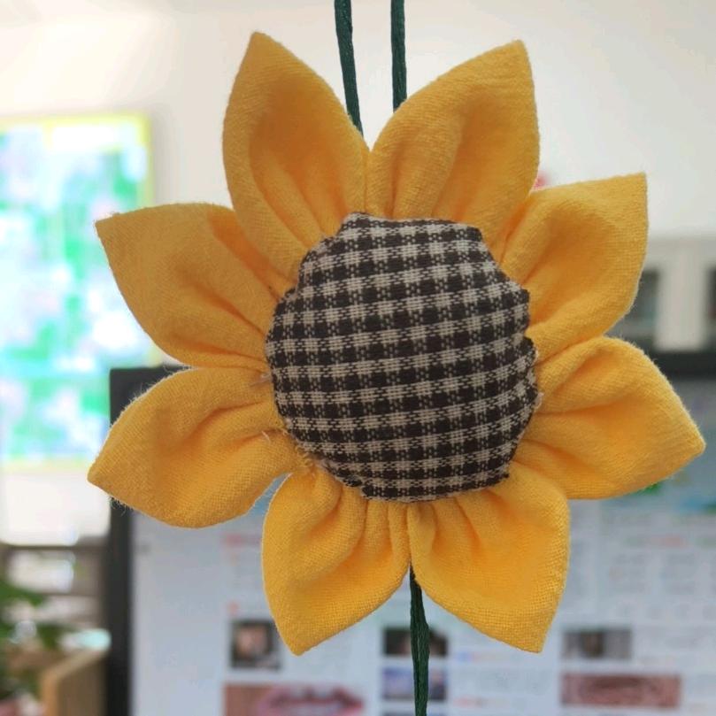 我爱我家-安居顾问海竹