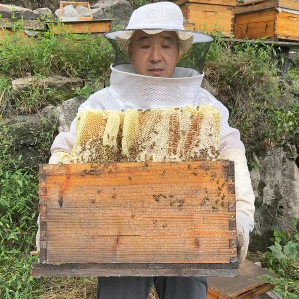 百丰园蜂蜜农场