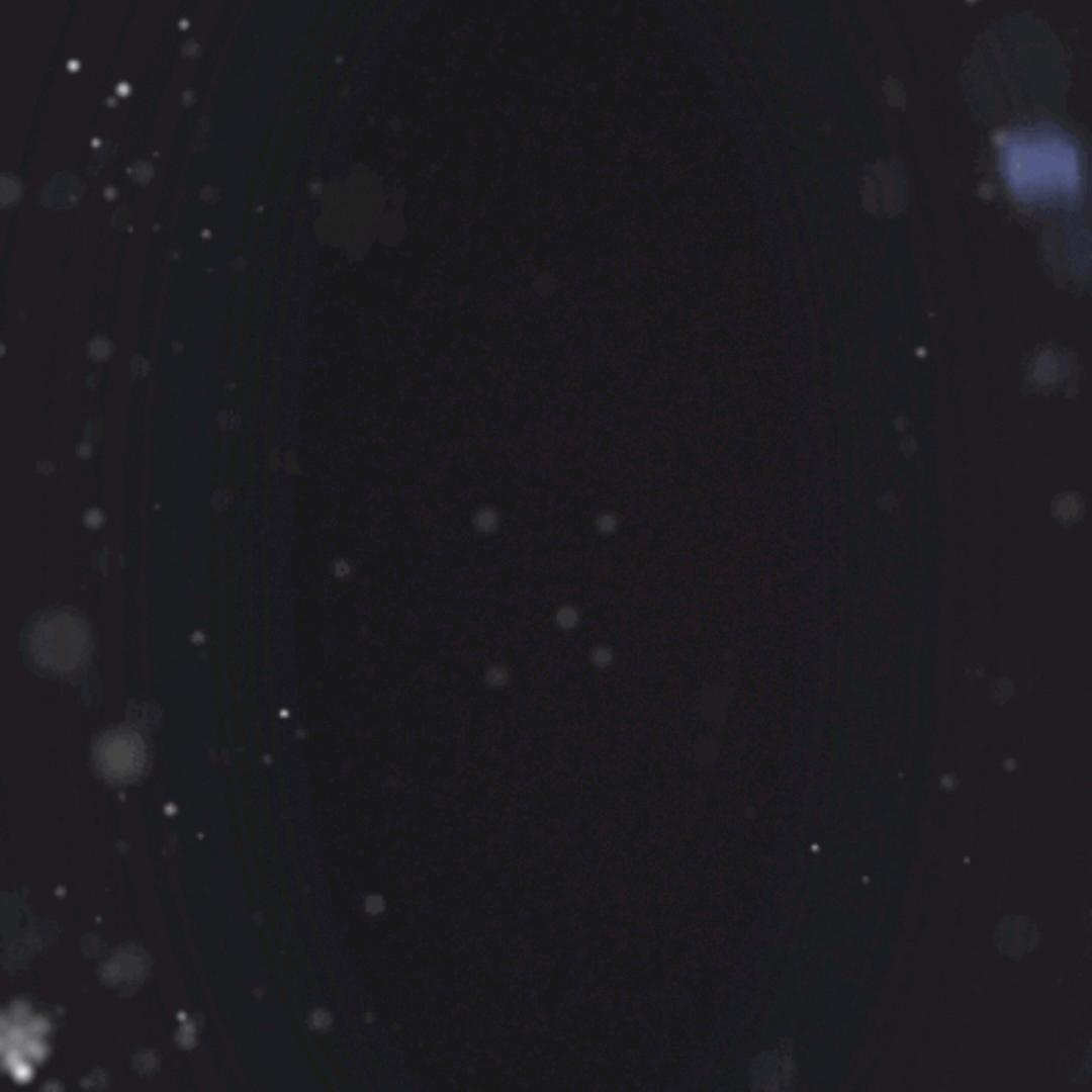 1083582796