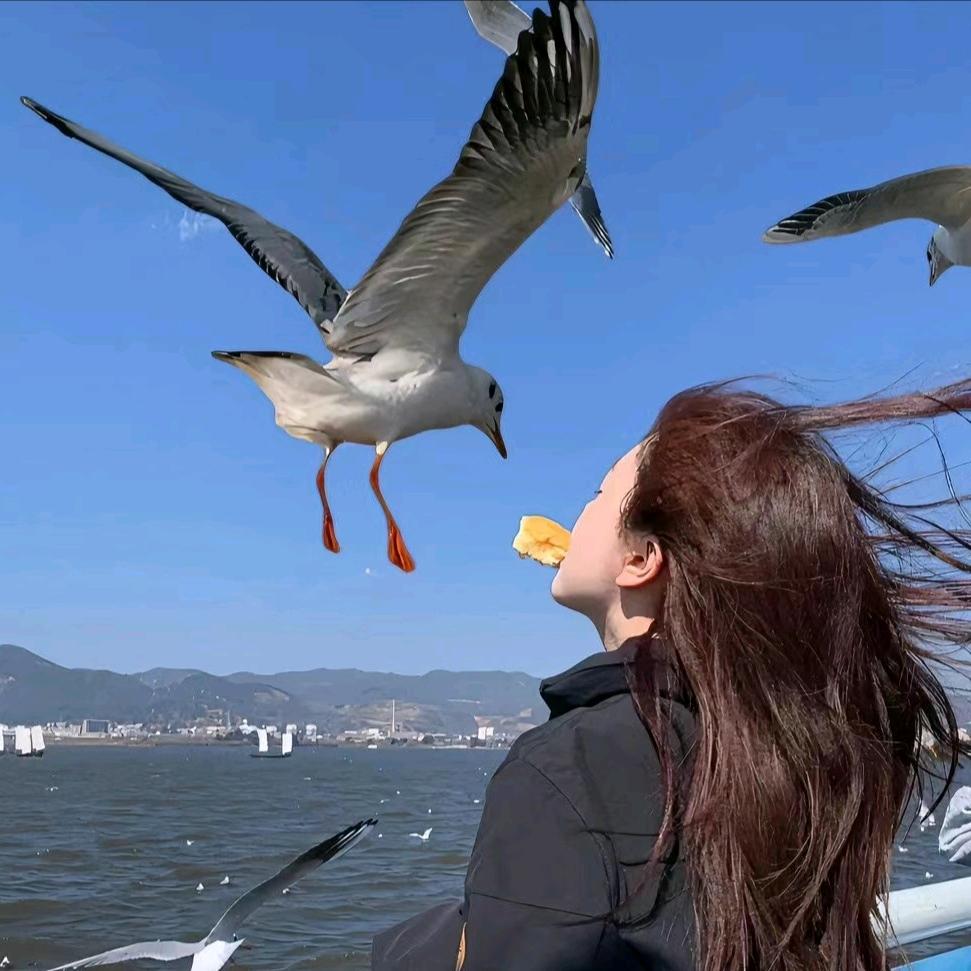 狂暴的青春( ͡° ͜ʖ ͡°)✧