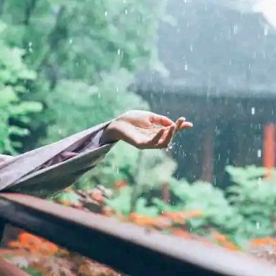 林间听雨