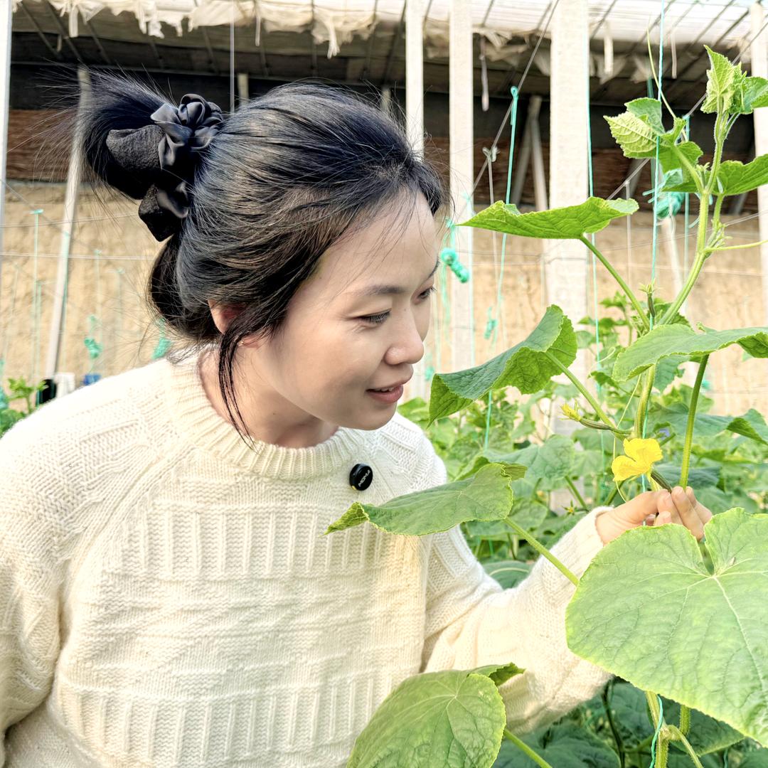 大妮子学农业