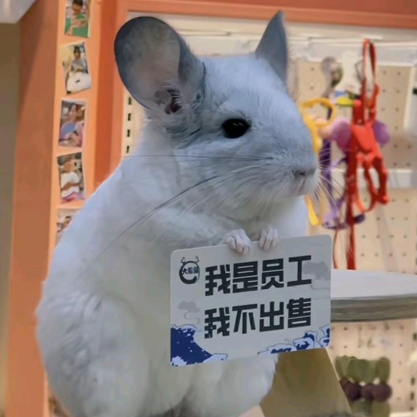 棈楠