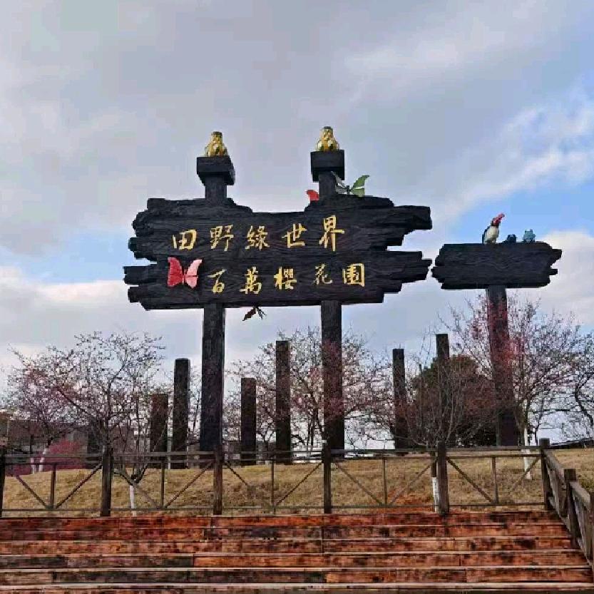 🌸珍惜🌷🌷人生🌸