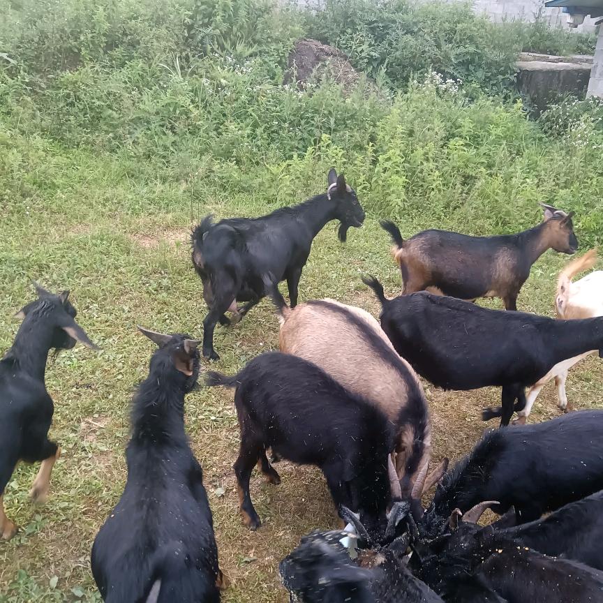 风里雨里，哥哥等你。