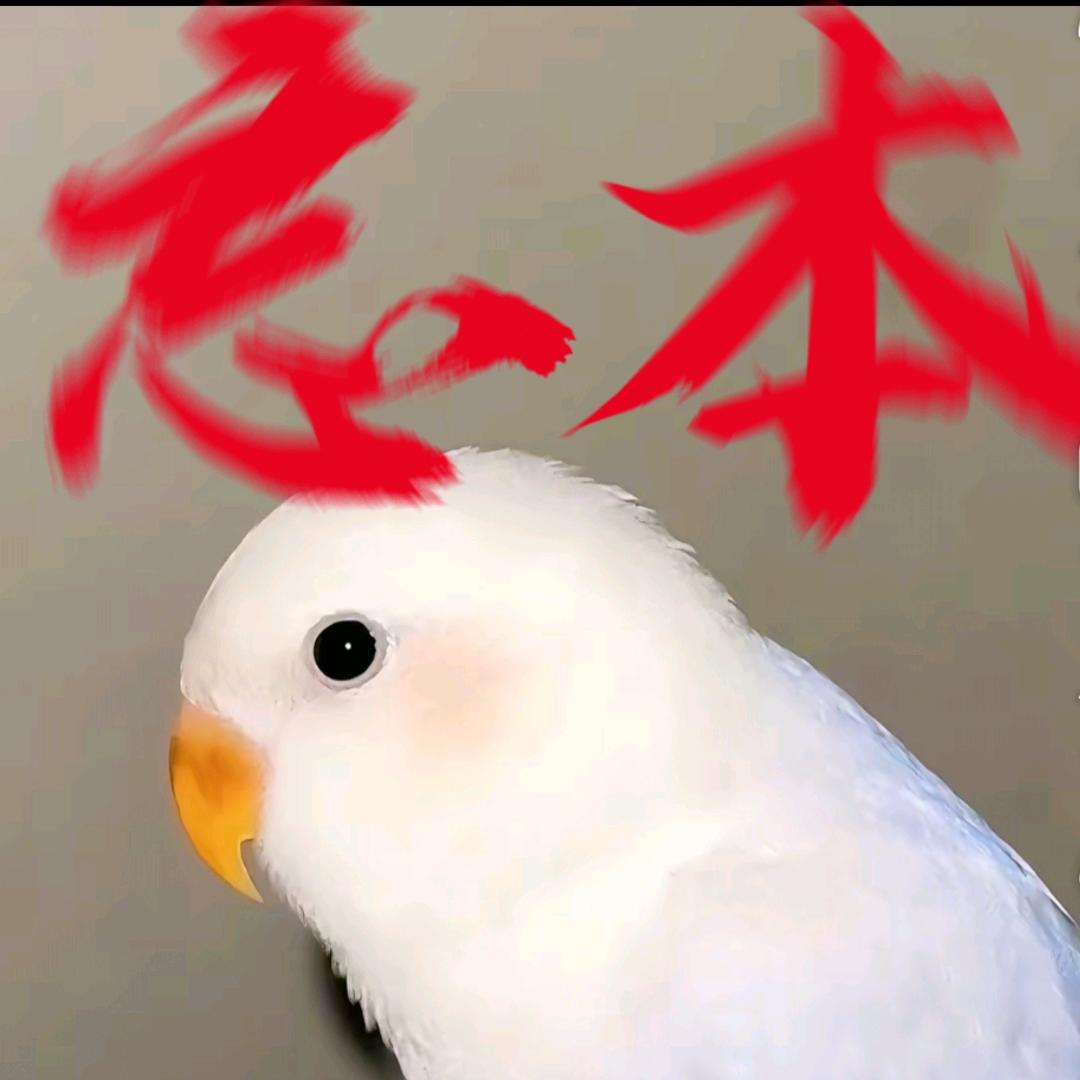 爱偷菜的小c