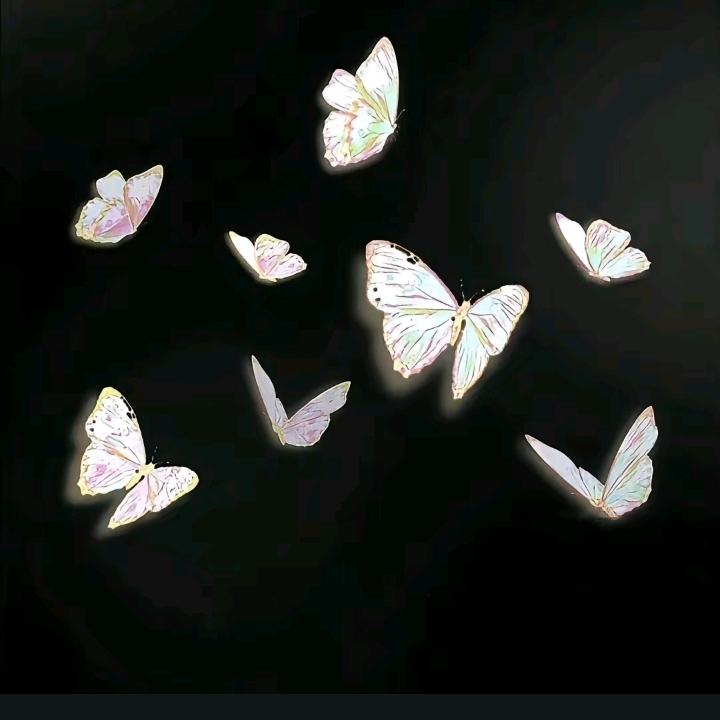 ᰔᩚº Yoᴗong_ ᥫᩣ