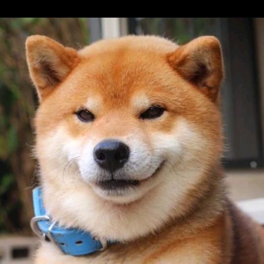 🌂青青草原🍃