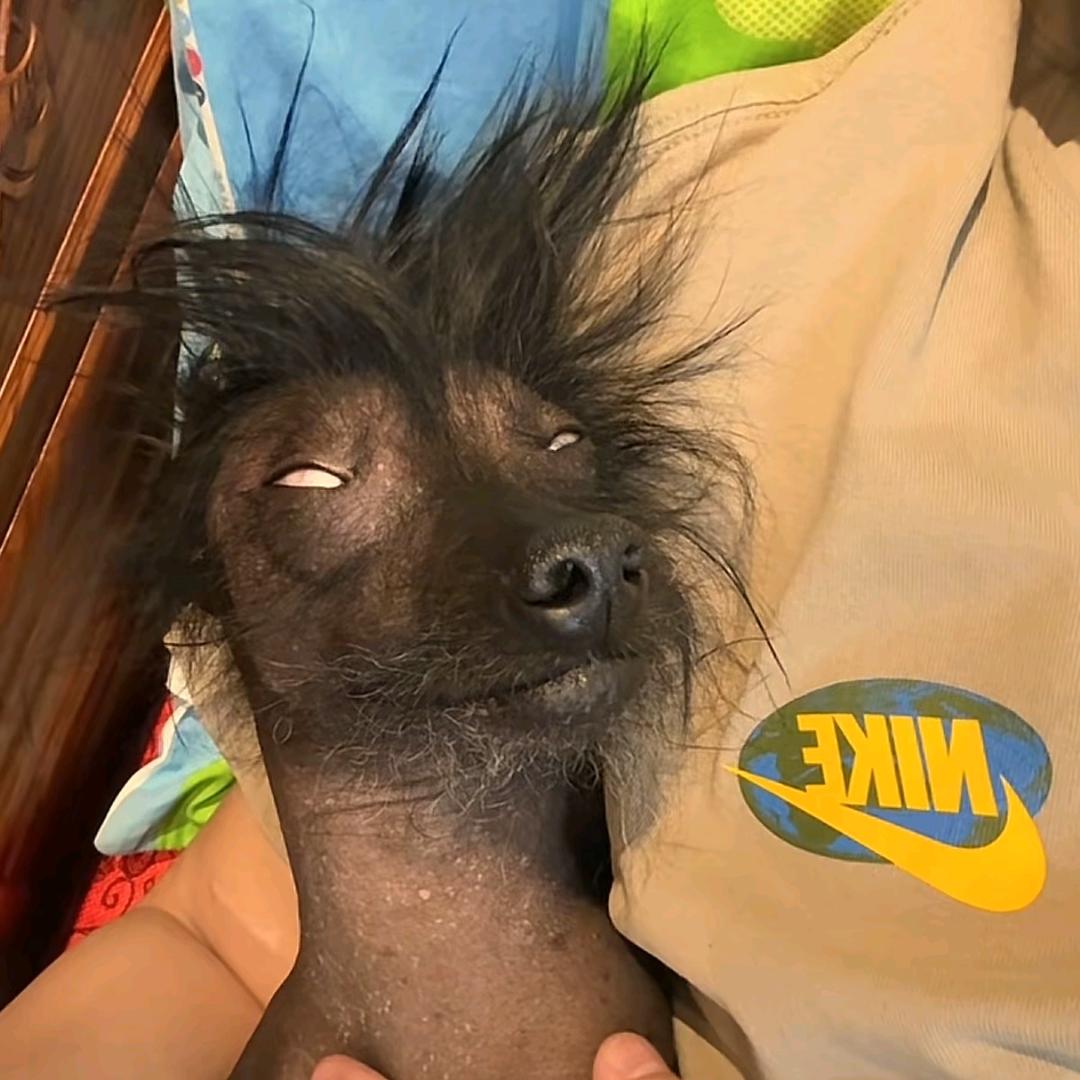 网名在拽，有个叼用