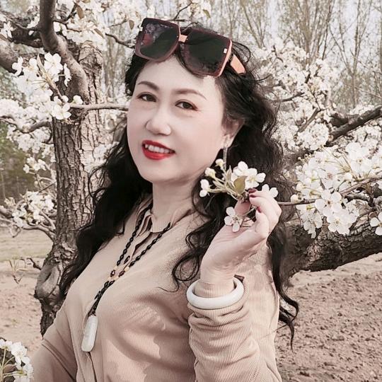 🌸艳丽🌸