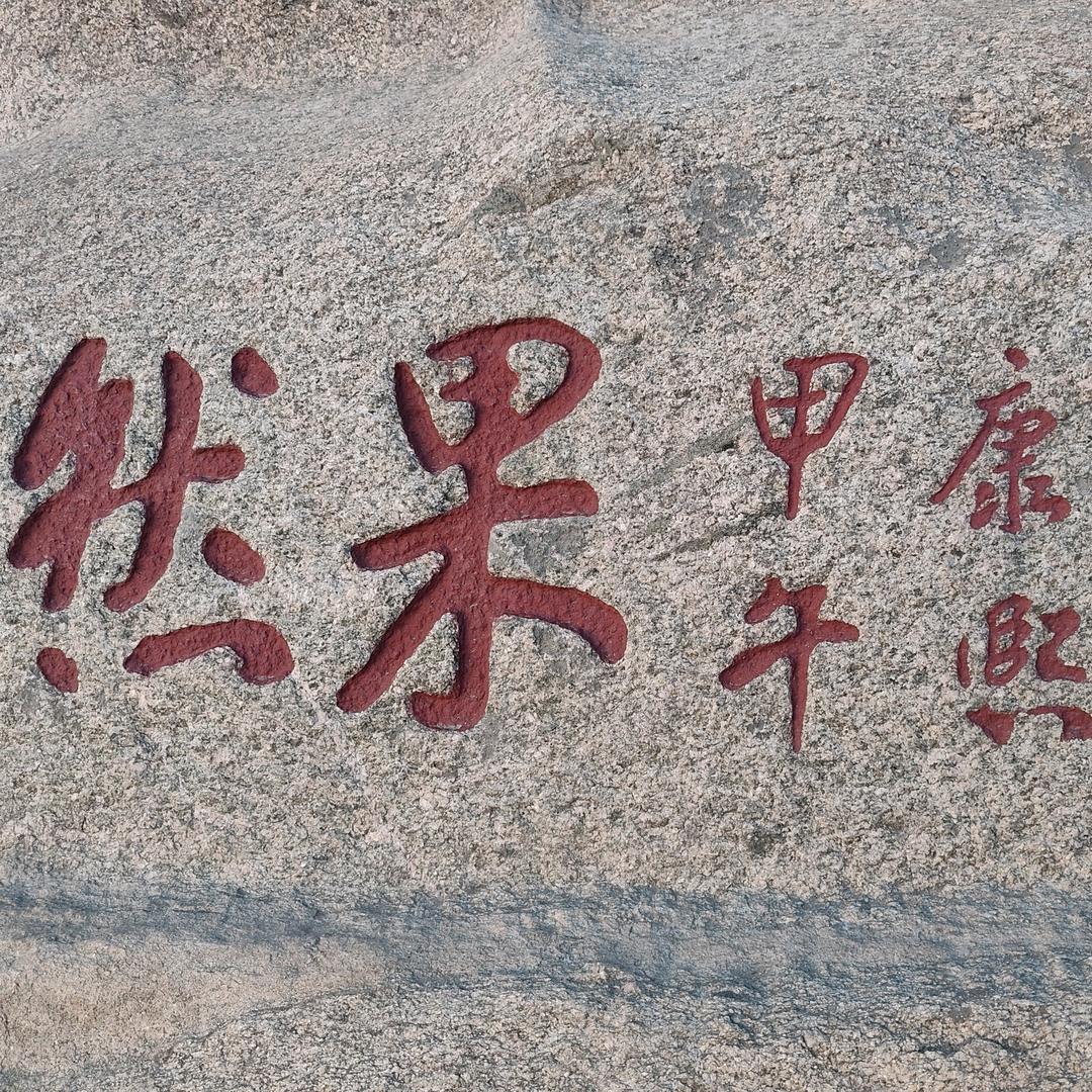 苗桐桐