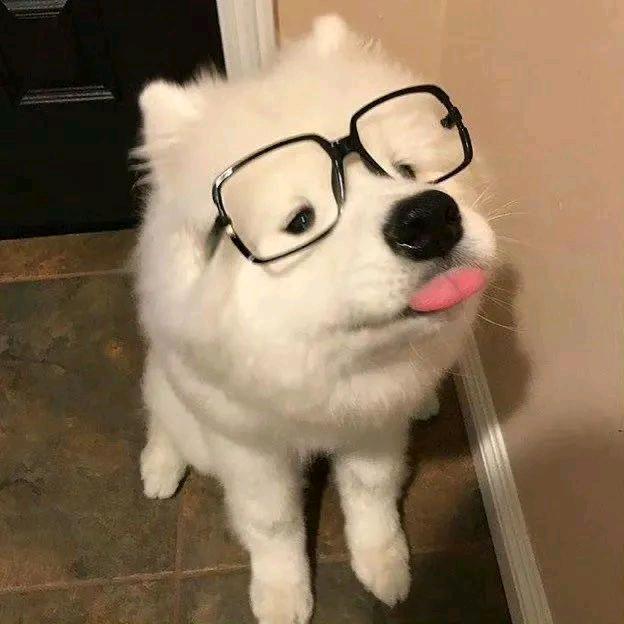 风澈