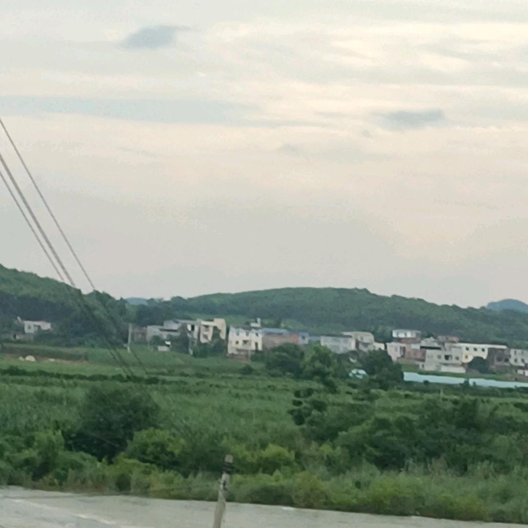 ♬乘风破浪