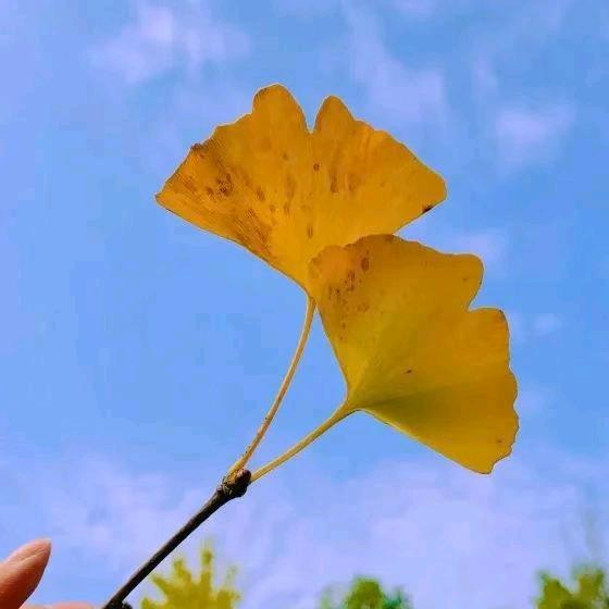ღ᭄别碰🍀我💔心ღ᭄ 💕