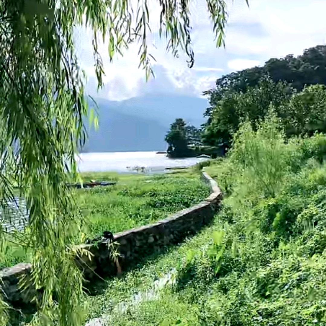 自渡…