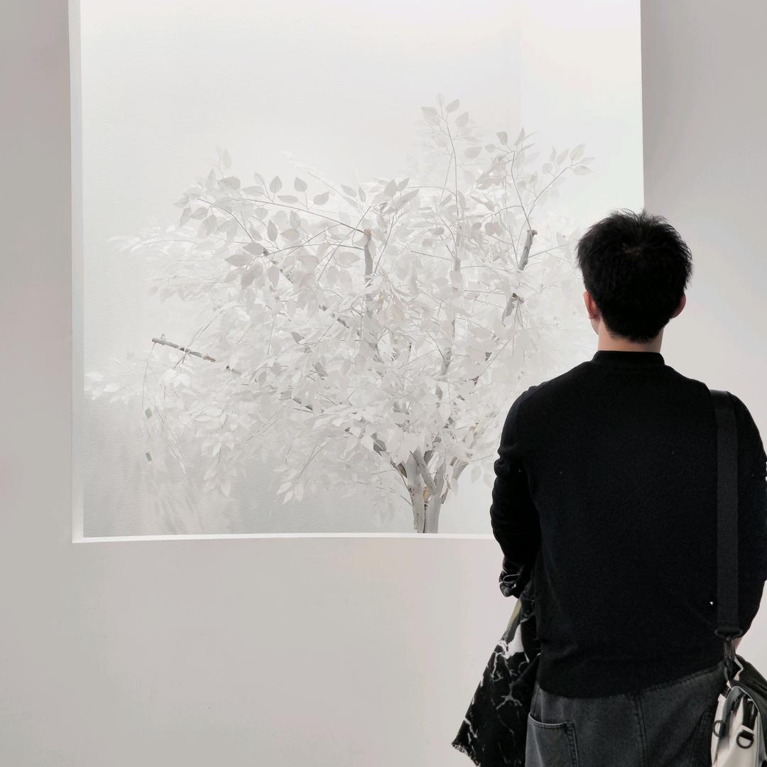 牧羊少年