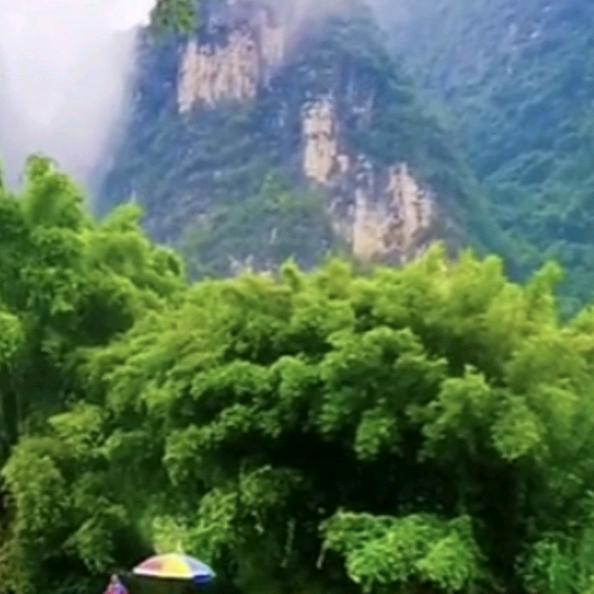山景
