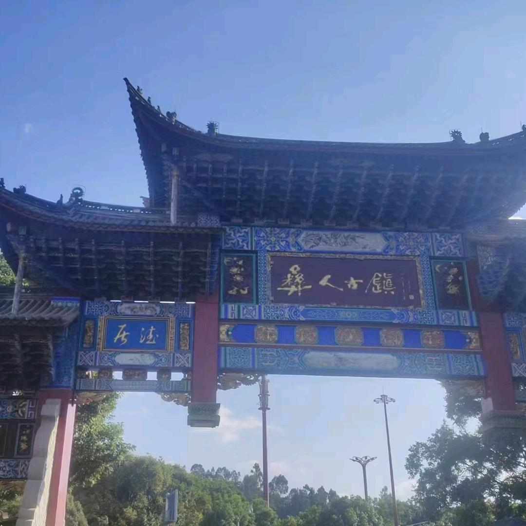 小杨