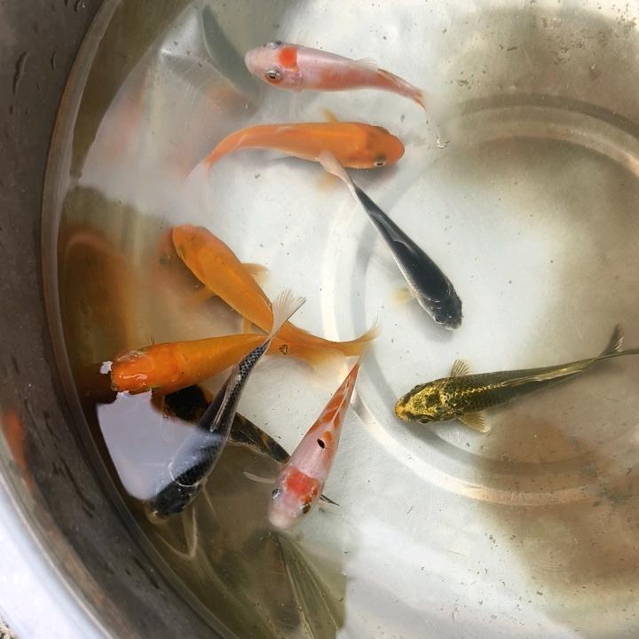 宇星的农村生活