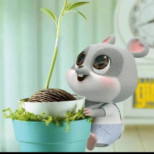 单机游戏小齐