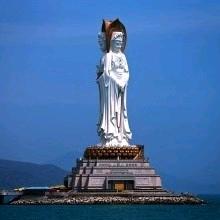 深夜的珊瑚