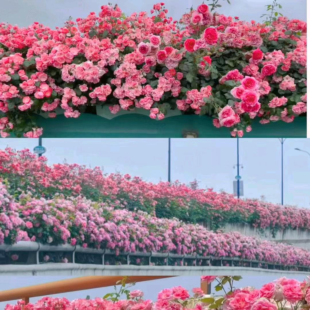 中俄国际仓