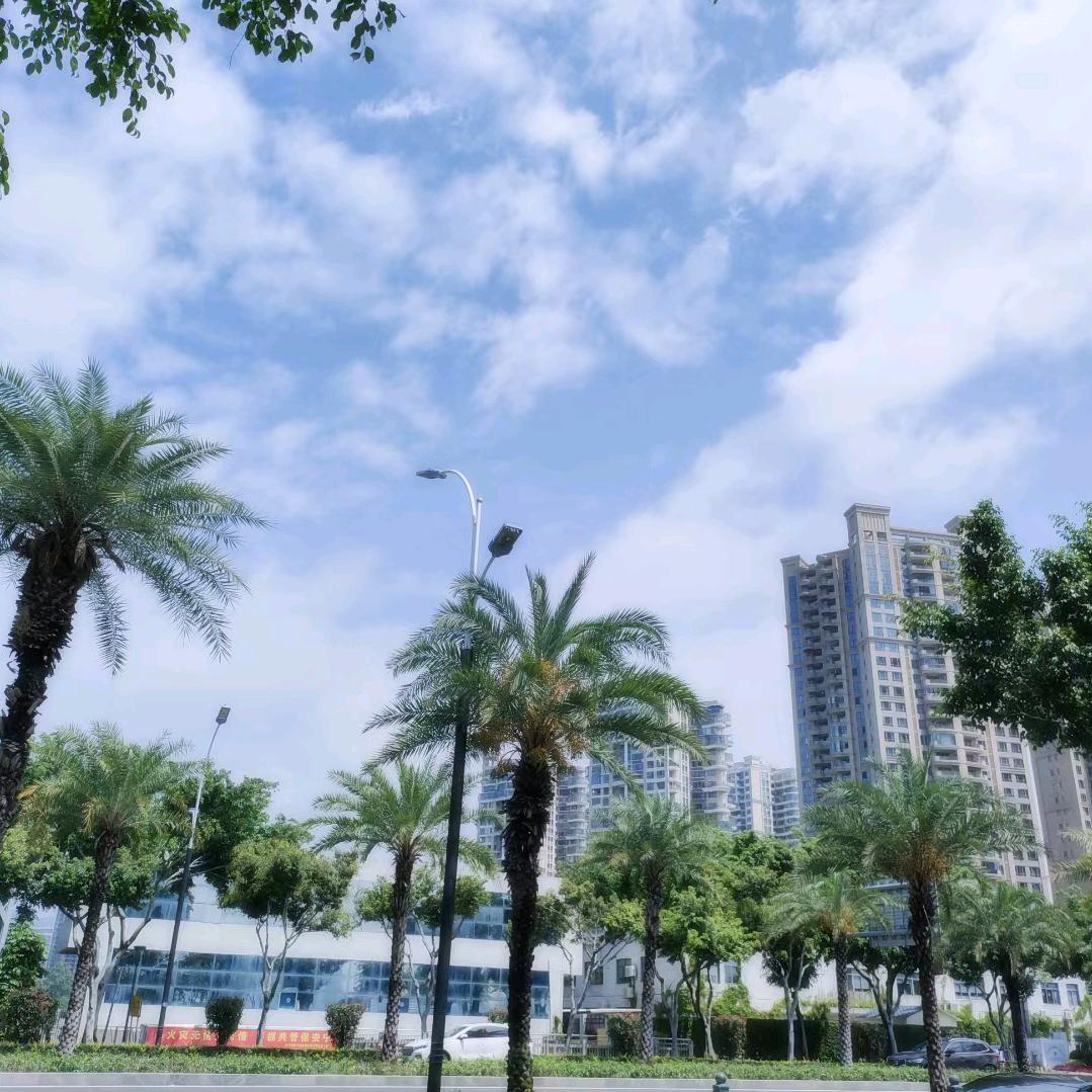 俊楠