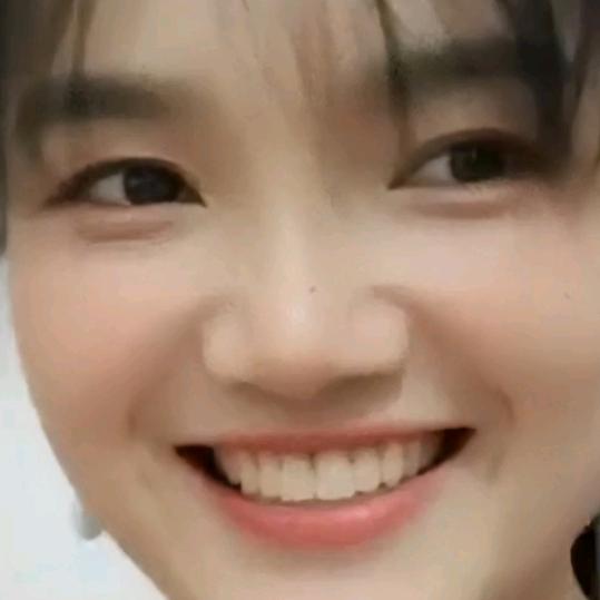 🌹🌹🌹🌹🌹🌹🌹🌹