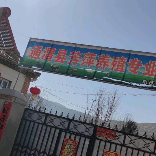 @柠檬花