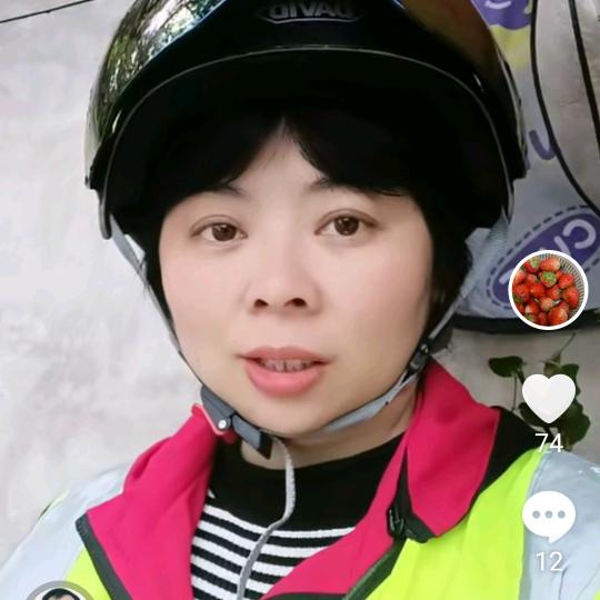upup燕子