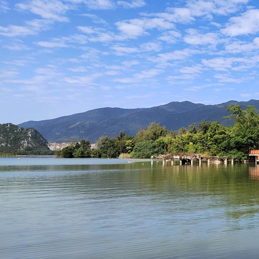 婉婉