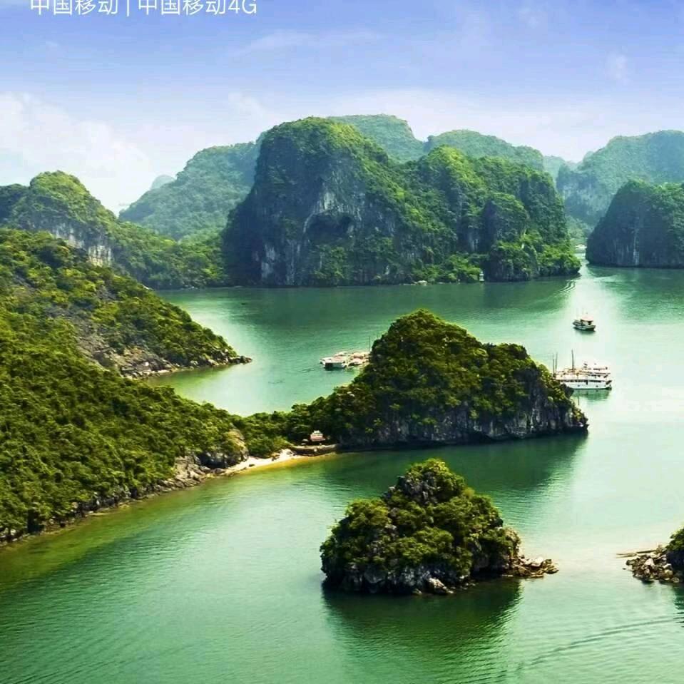 紫去东来