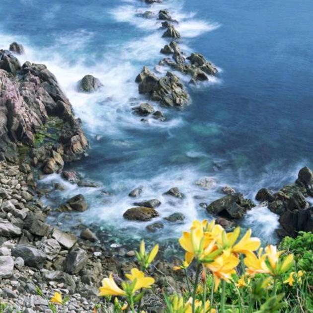 半城繁华半城伤