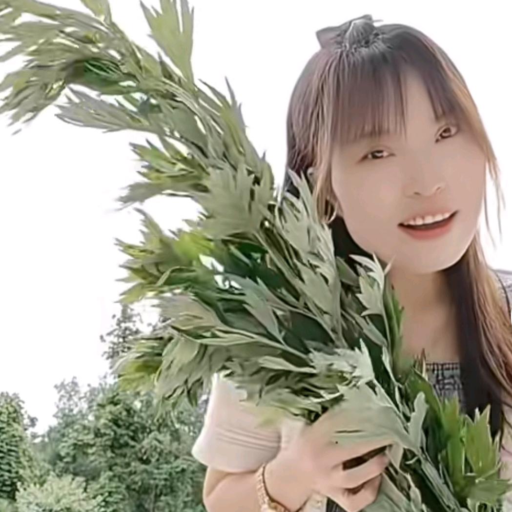 美美