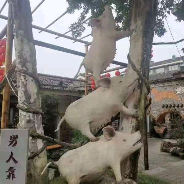 重出江湖