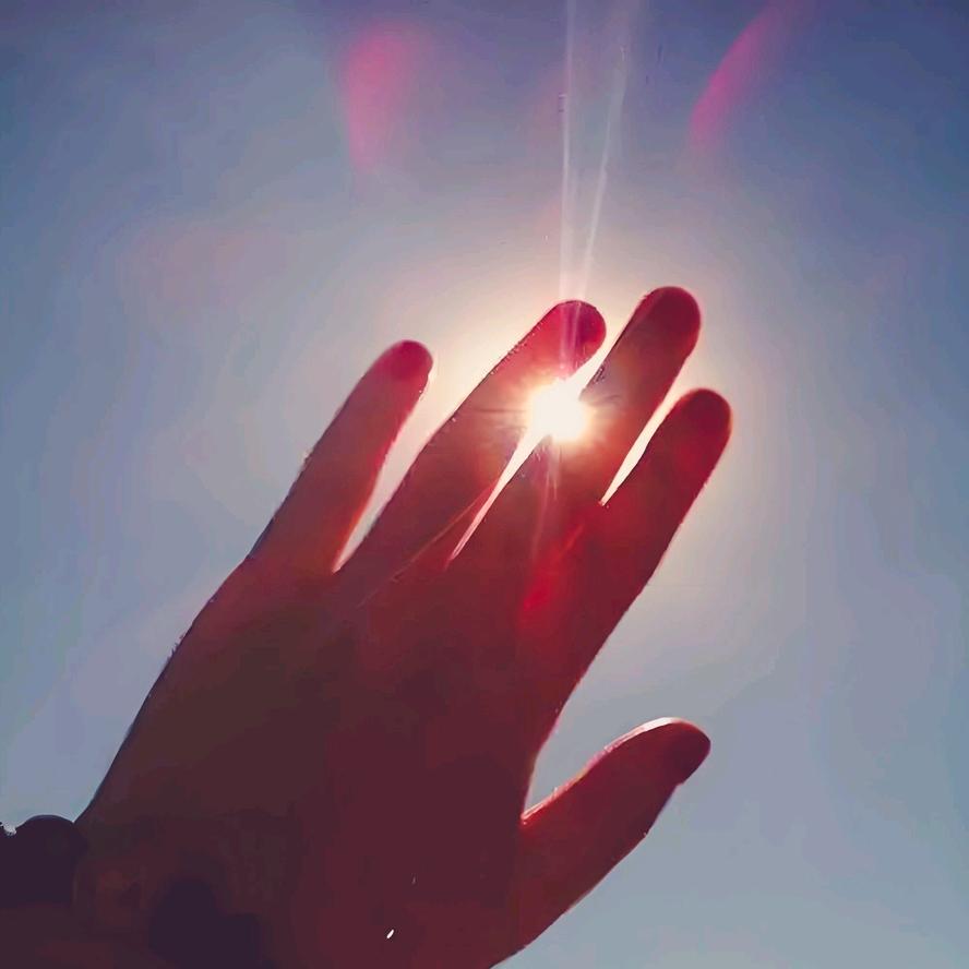 曾是惊鸿照影来