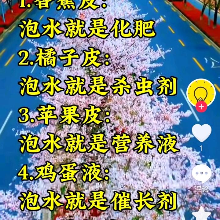 用户3885894407000