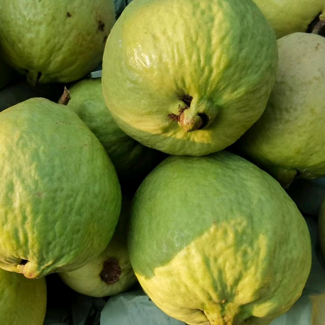 平平安安一身快乐