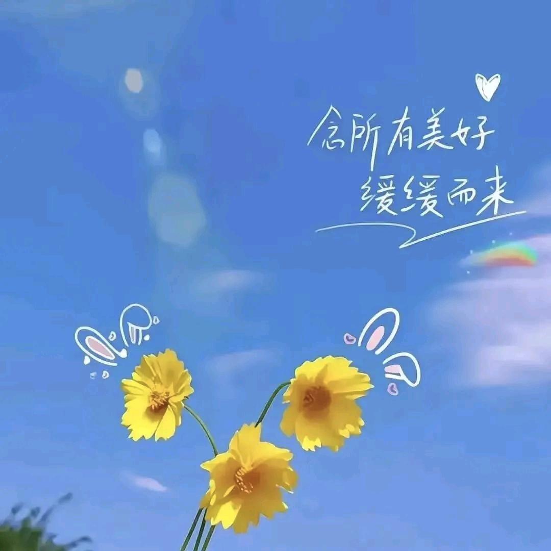 好运💖莲莲