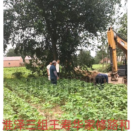 淮泽村张军√，