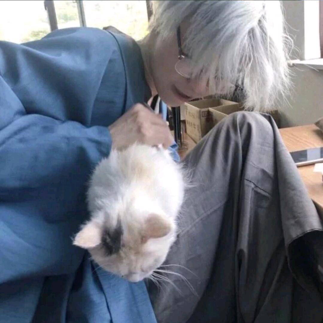 小泉