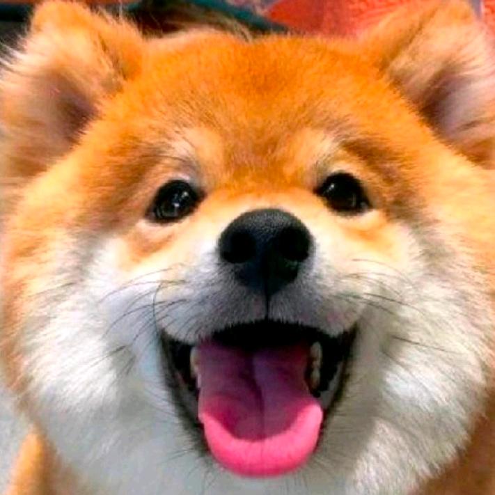 不知名