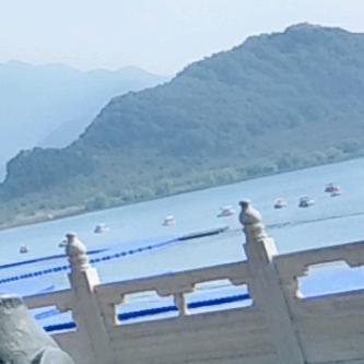 珍爱永恒