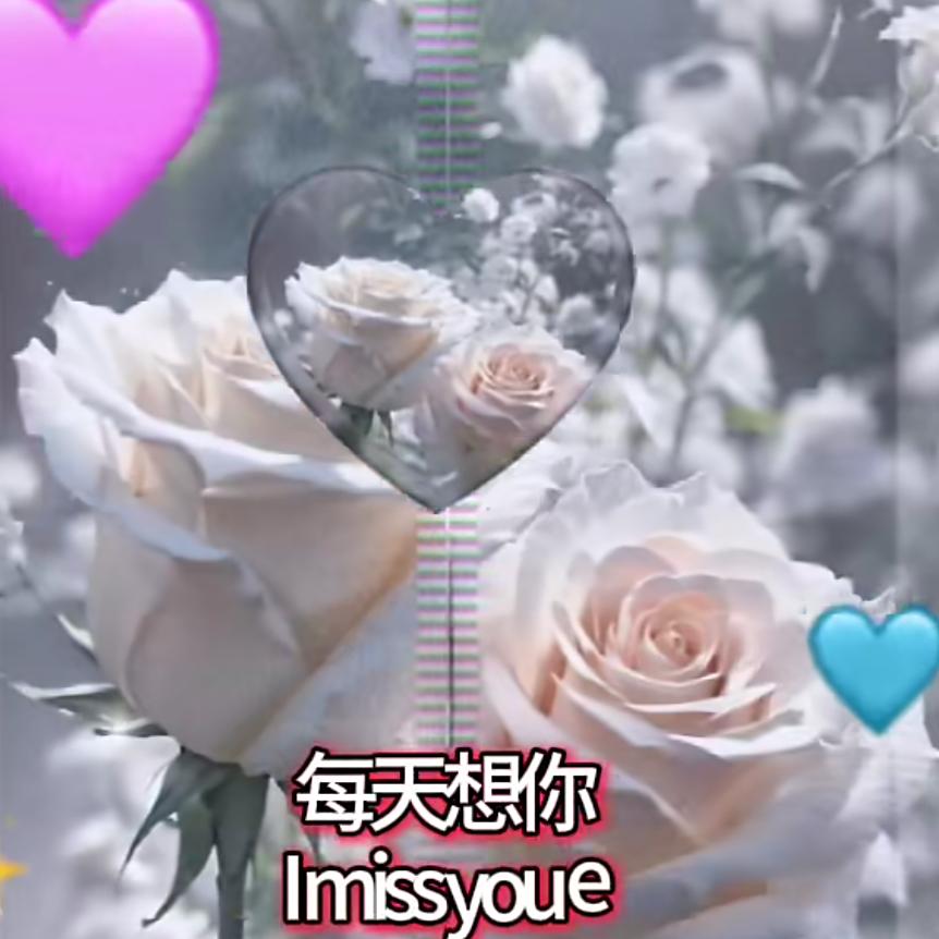 聂聂有橙