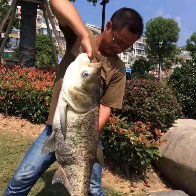 阿飞