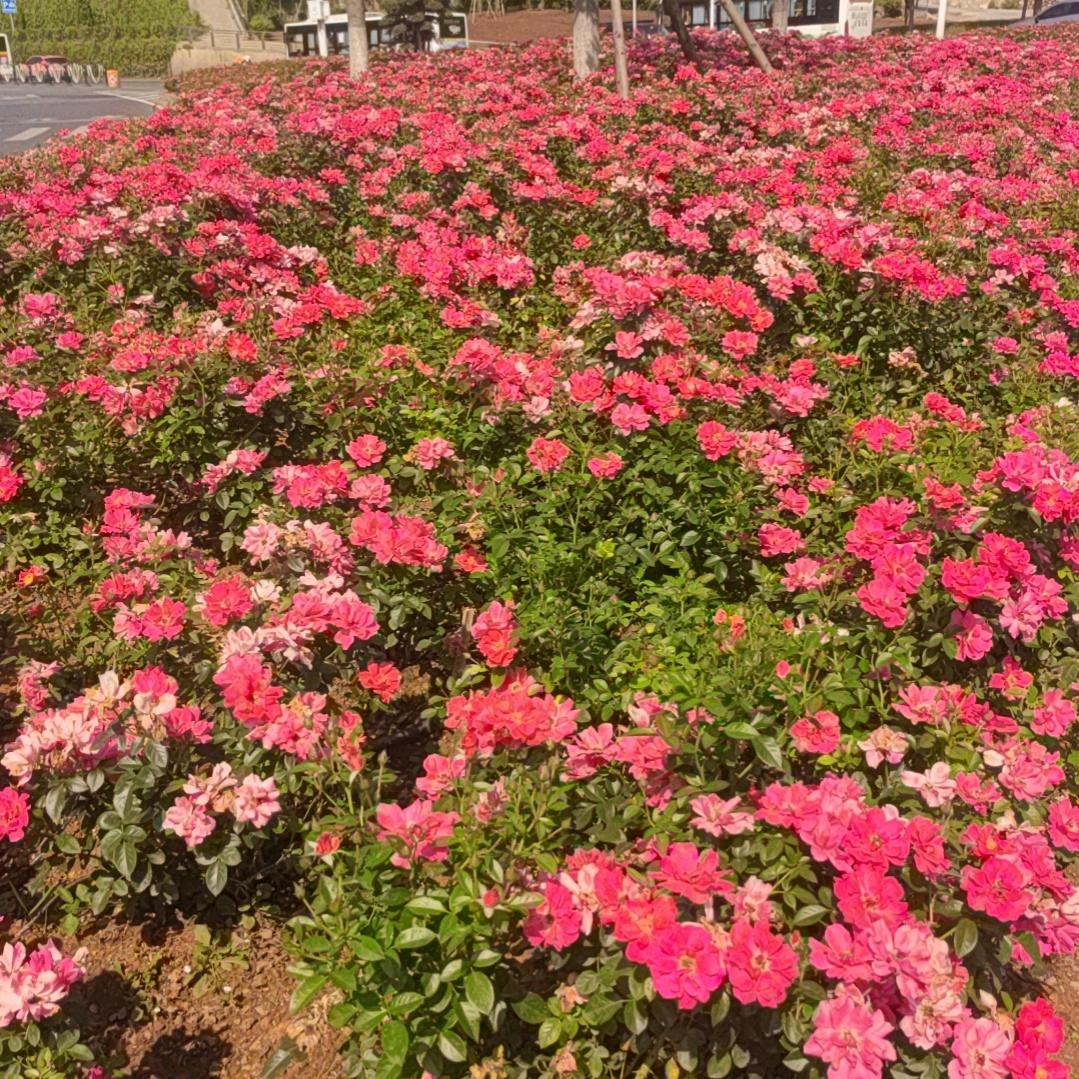 江湖冷暖