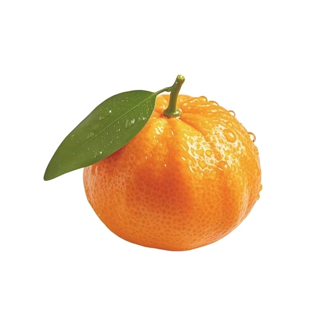 这家饭也不错💭