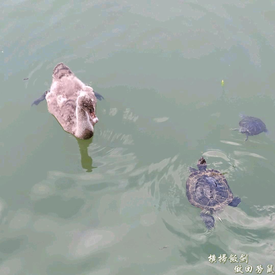 思远楷瑞
